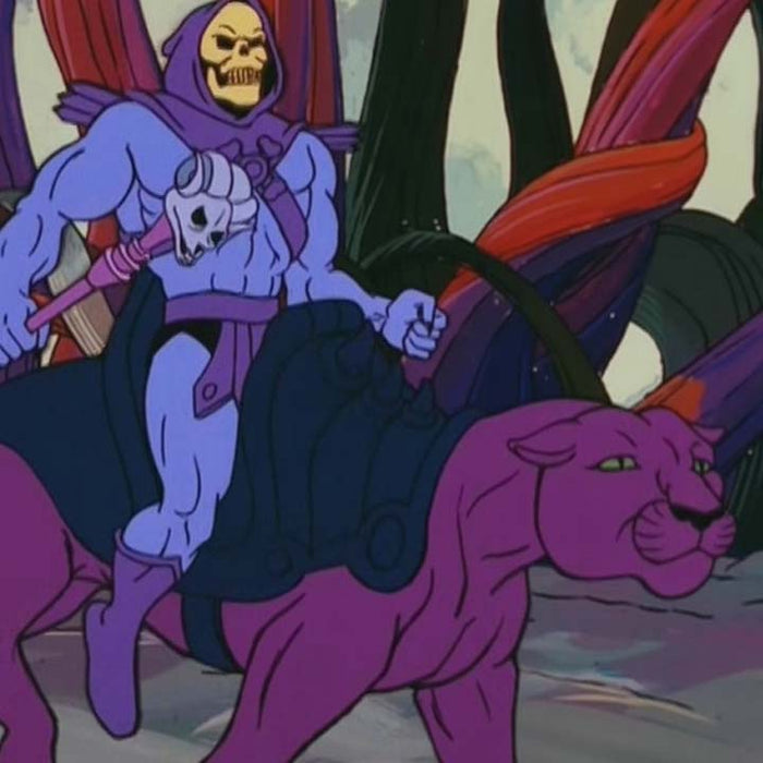 Masters of the Universe ReAction Skeletor and Panthor 2-Pack