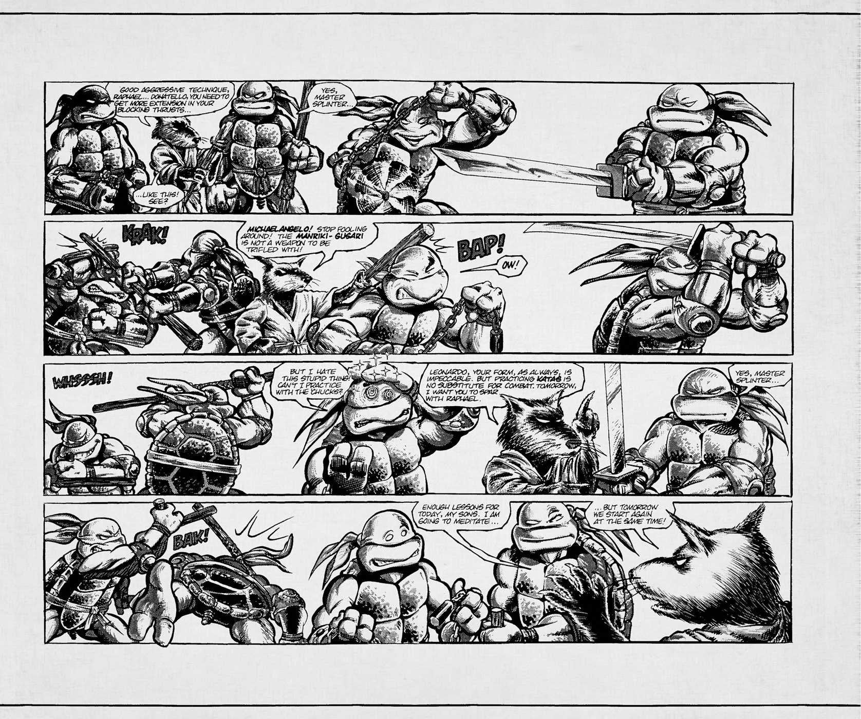 Teenage Mutant Ninja Turtles: Classic Hardcover Ruled Journal — Geek Fuel